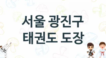 서울 광진구 태권도 도장 추천 5, 입관비, 도장 업체소개