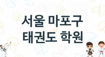 서울 마포구 태권도 도장 추천