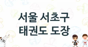 서울 서초구 태권도 도장 소개 추천