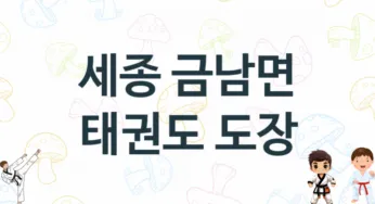 세종 금남면 태권도 도장 추천 TOP 4, 소개
