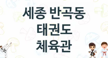 세종 반곡동 태권도 도장 추천 TOP 4, 안내