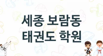 세종 보람동 아이들 태권도 학원 추천