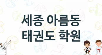 세종 아름동 태권도 체육관 추천 1, 회비, 도장 업체소개