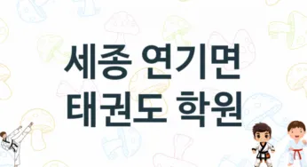 세종 연기면 태권도 도장 추천 TOP 1, 안내
