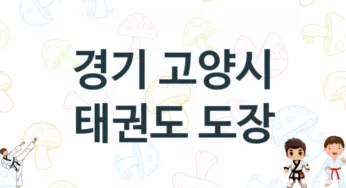 경기 고양시 태권도 도장 추천 5, 회비, 체육관