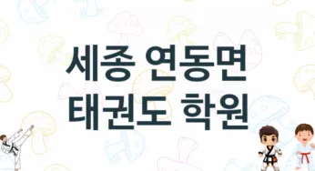 세종 연동면 태권도 체육관 추천 TOP 2, 소개