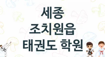 세종 조치원읍 아이들 태권도 도장 추천