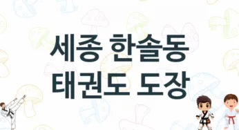 세종 한솔동 아이들 태권도 체육관 소개 추천