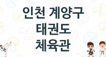 인천 계양구 태권도 체육관 추천 TOP 5, 소개