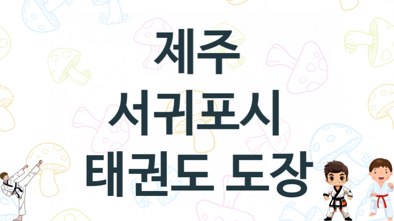 제주 서귀포시 태권도 체육관 추천 5, 비용, 체육관 업체소개