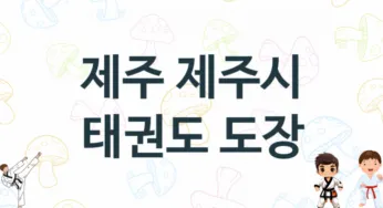 제주 제주시 아이들 태권도 도장 추천