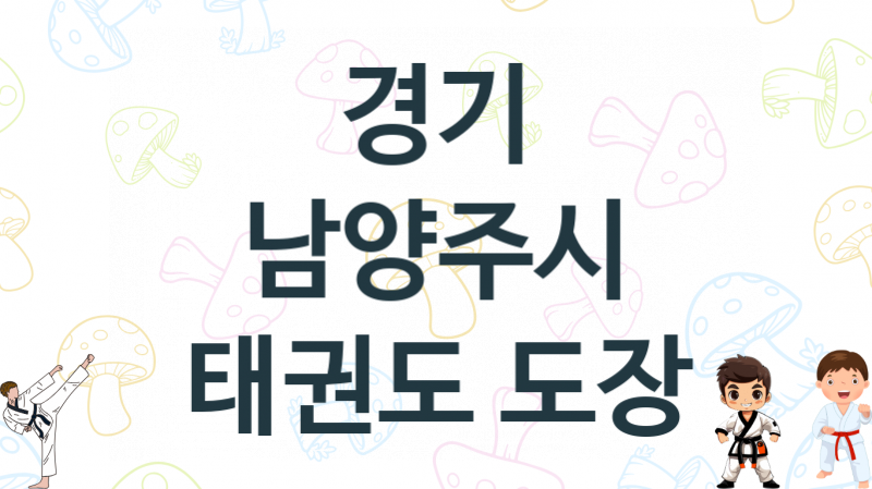 경기 남양주시 어린이 태권도 학원 소개 추천