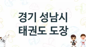 경기 성남시 태권도 도장 추천 TOP 5, 안내