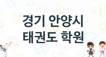 경기 안양시 태권도 체육관 추천 TOP 5, 소개