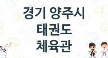 경기 양주시 어린이 태권도 체육관 소개 추천