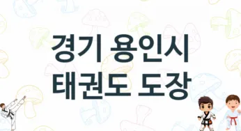경기 용인시 태권도 도장 추천 TOP 5, 안내