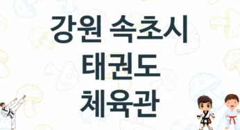강원 속초시 태권도 도장 추천
