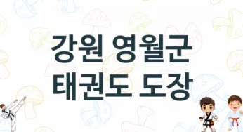 강원 영월군 태권도 학원 소개 추천