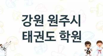 강원 원주시 태권도 학원 추천