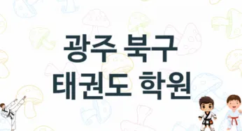 광주 북구 태권도 도장 추천 TOP 5, 소개