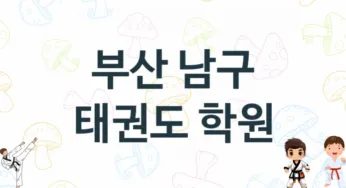 부산 남구 태권도 도장 추천 5, 회비, 도장