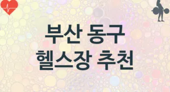 부산 동구 헬스장 추천 3, 비용, 헬스클럽