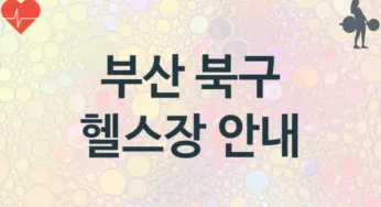 부산 북구 중급자 헬스장 헬스클럽 소개 추천
