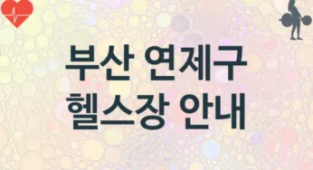 부산 연제구 초급자 헬스장 안내 추천