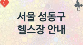 서울 성동구 헬스장 추천 3, 비용, 헬스클럽