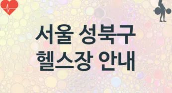 서울 성북구 중급자 헬스장 추천