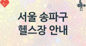 서울 송파구 중급자 헬스장 추천