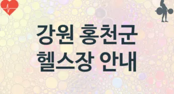 강원 홍천군 초급자 헬스장 안내 추천