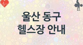 울산 동구 헬스장 추천 TOP 3, 헬스클럽안내