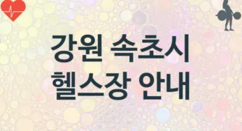 강원 속초시 헬스장 추천 3, 입회비,