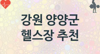 강원 양양군 헬스장 추천 2, 입관비, 헬스클럽
