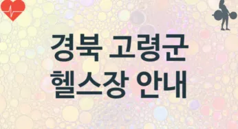 경북 고령군 중급자 헬스장 안내 추천