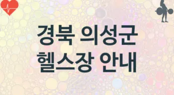 경북 의성군 중급자 헬스장 소개 추천