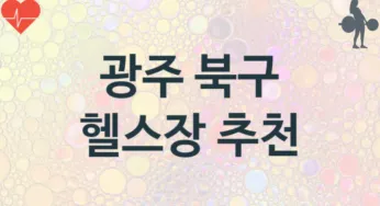 광주 북구 헬스장 추천 TOP 2, 안내