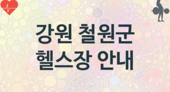 강원 철원군 헬스장 추천 3, 비용, 헬스클럽