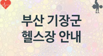 부산 기장군 헬스장 추천 TOP 3, 안내