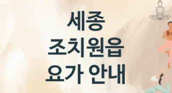 세종 조치원읍 중급자 요가 수강 안내 추천