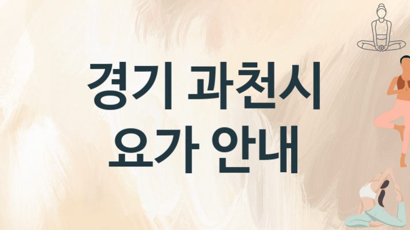 경기 과천시 초급자 요가   추천