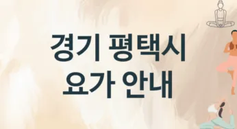 경기 평택시 요가 소개 추천