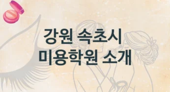 강원 속초시 미용학원 안내 등급별 등록 수강비